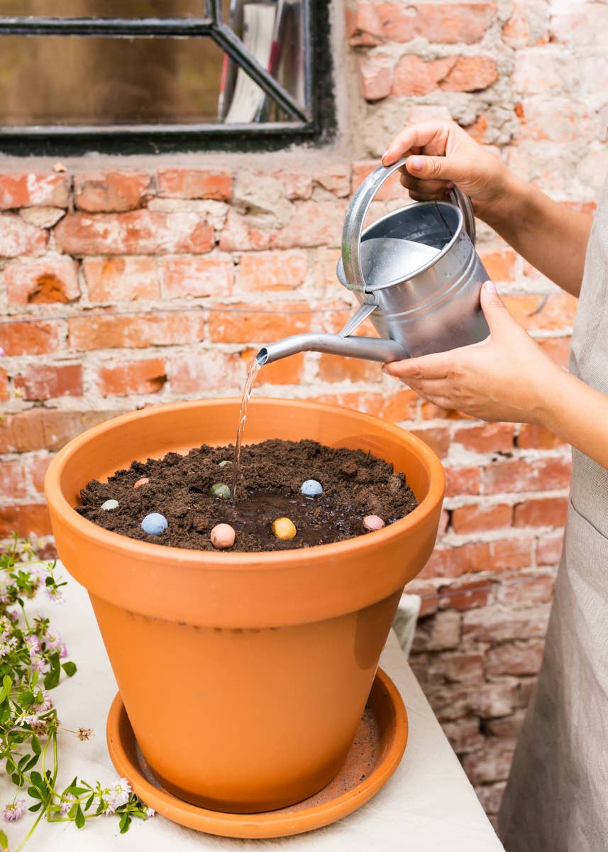 Eco-friendly gift box with 4 Blossombs - Flowers for you