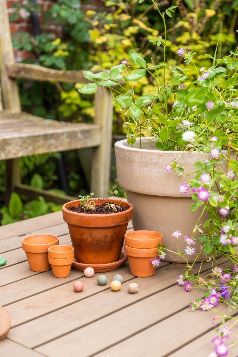 Ekologisk Give-Away med 2 Blossombs fröbomber