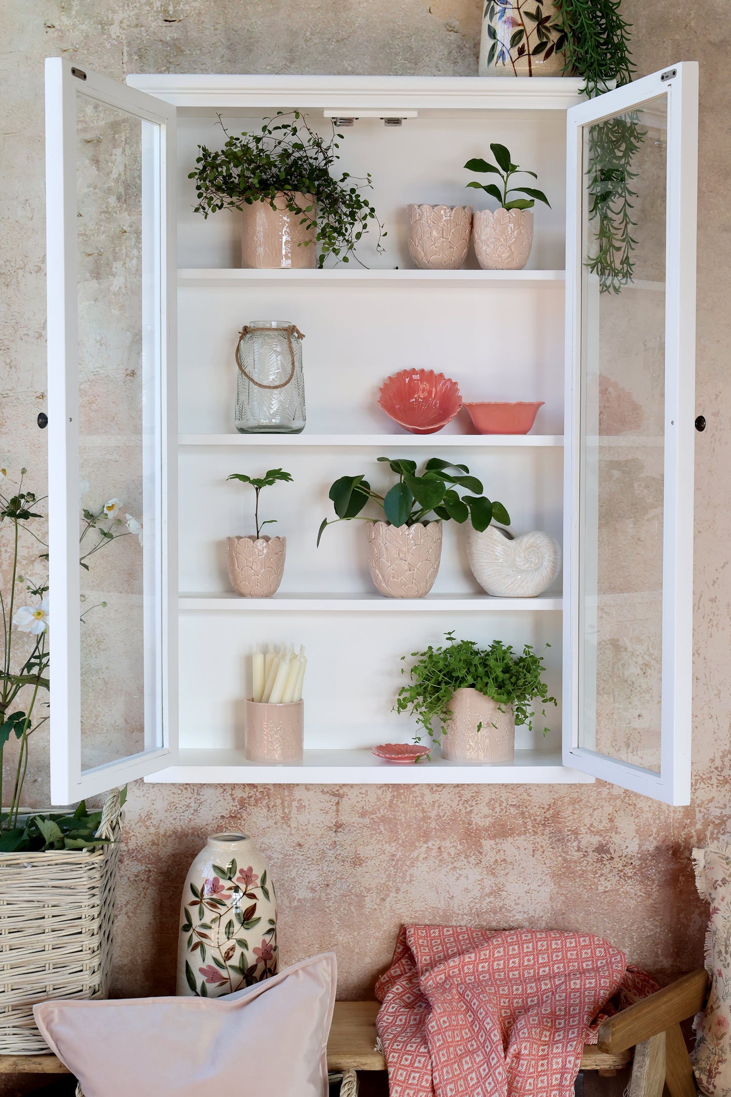 Wall cabinet display cabinet