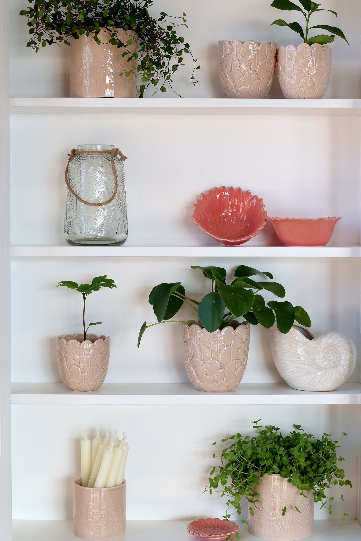 Wall cabinet display cabinet