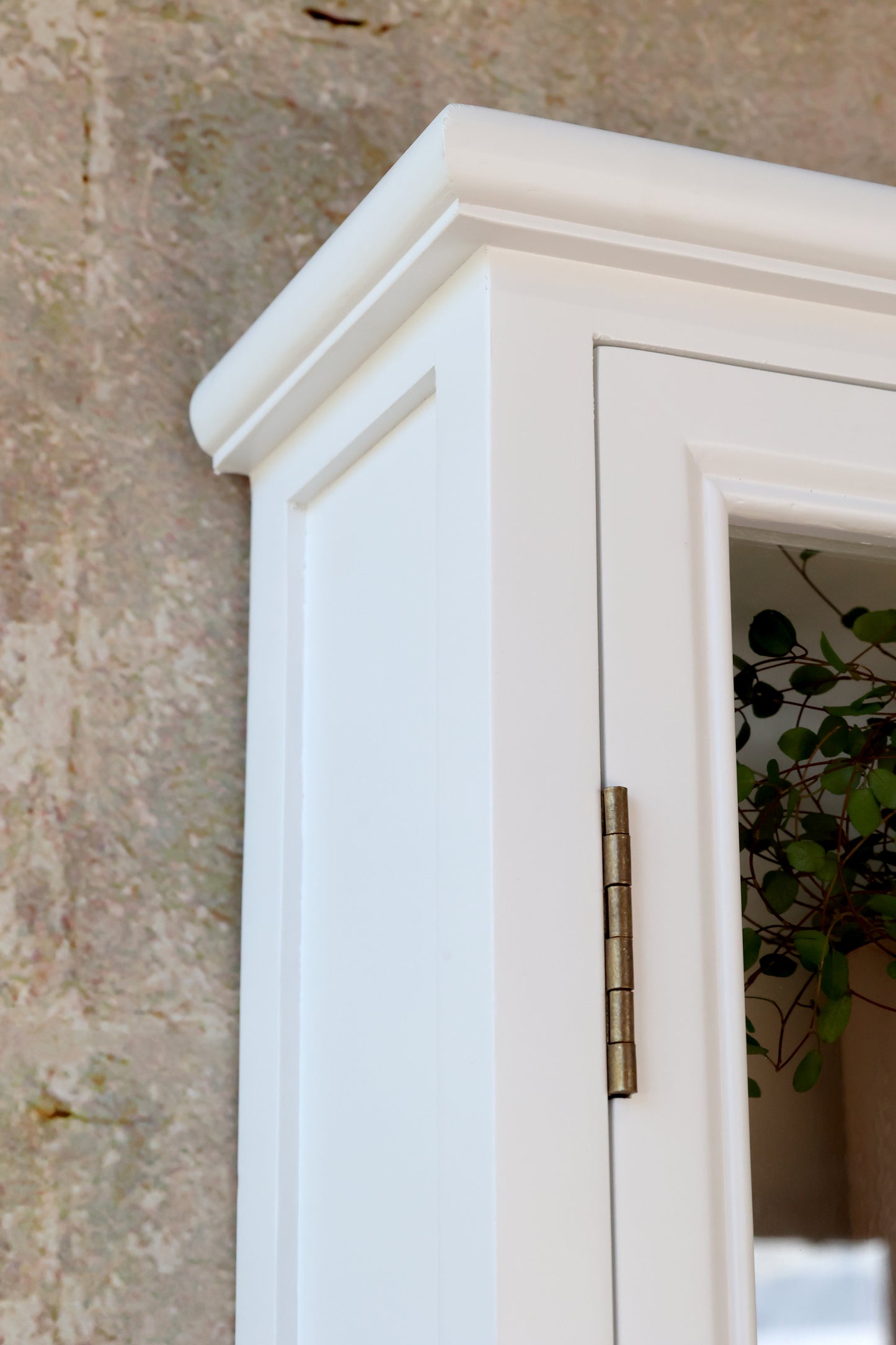 Wall cabinet display cabinet