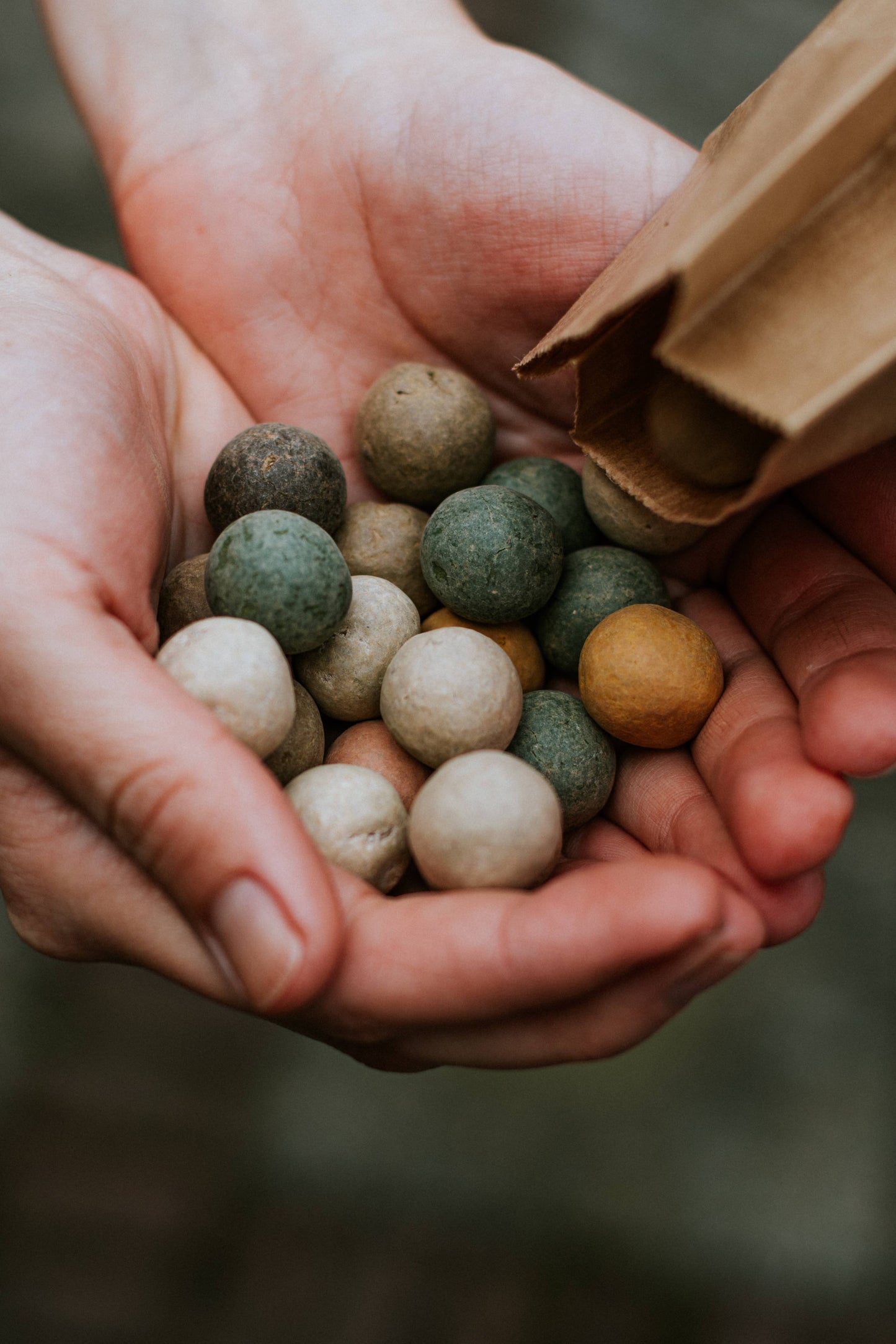 Ekologisk Give-Away "Kära Lärare" med 2 fröbomber