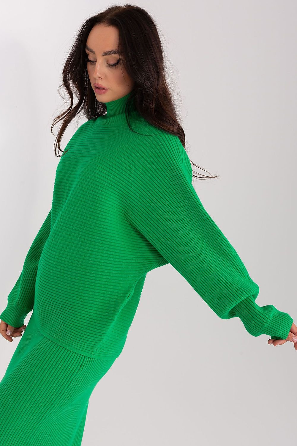 Turtleneck model 187582 AT
