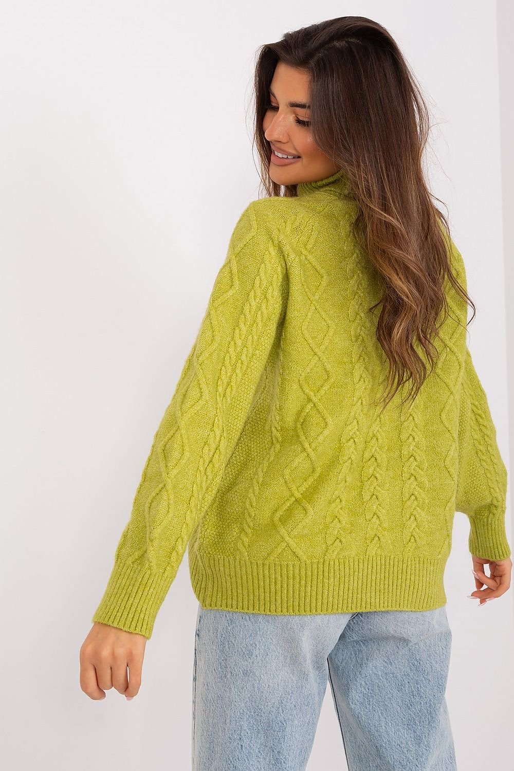 Turtleneck model 189230 AT