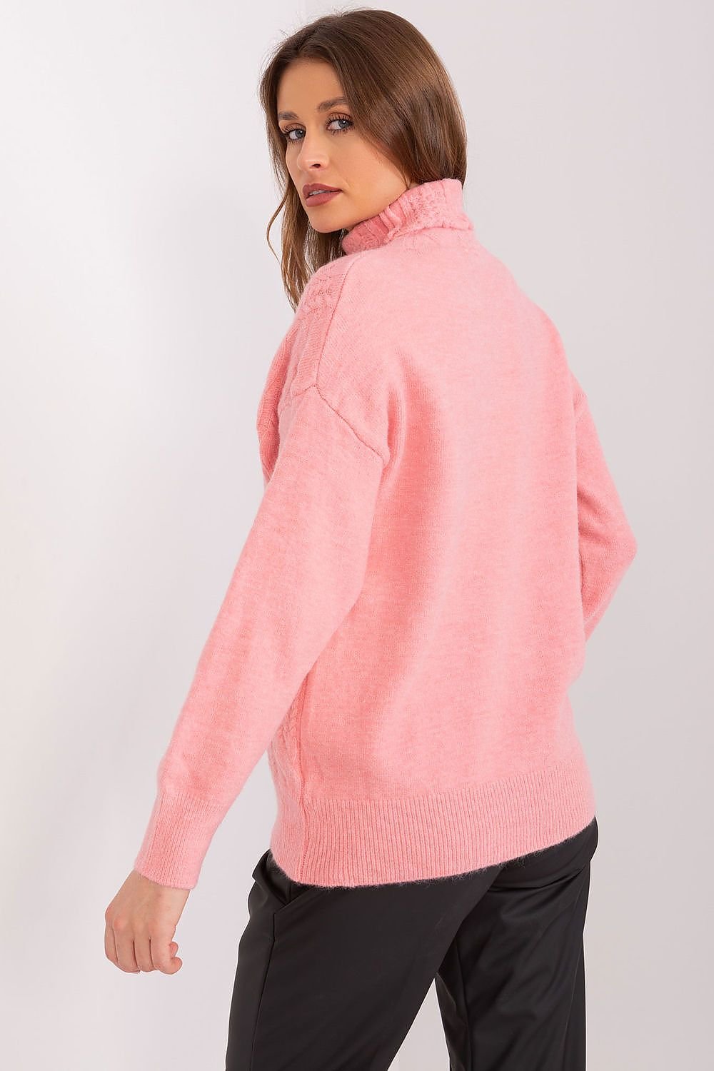 Turtleneck model 189898 AT