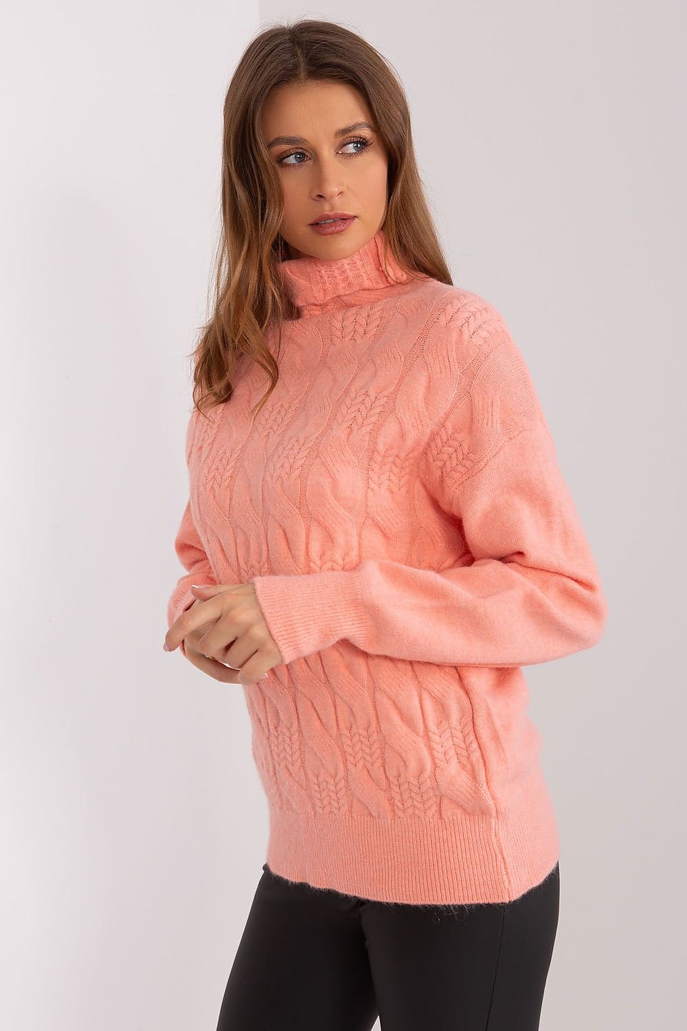 Turtleneck model 189898 AT