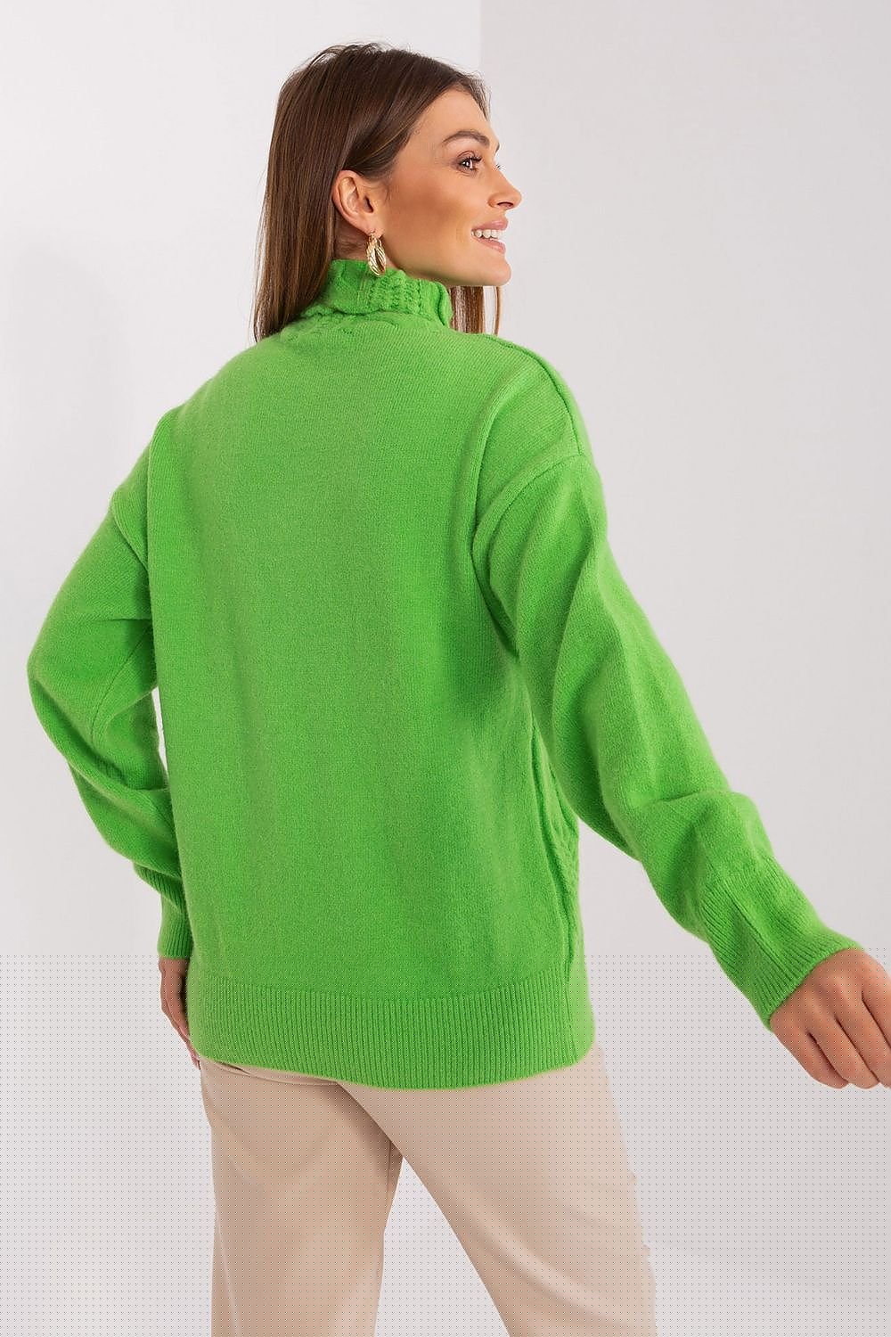 Turtleneck model 189898 AT