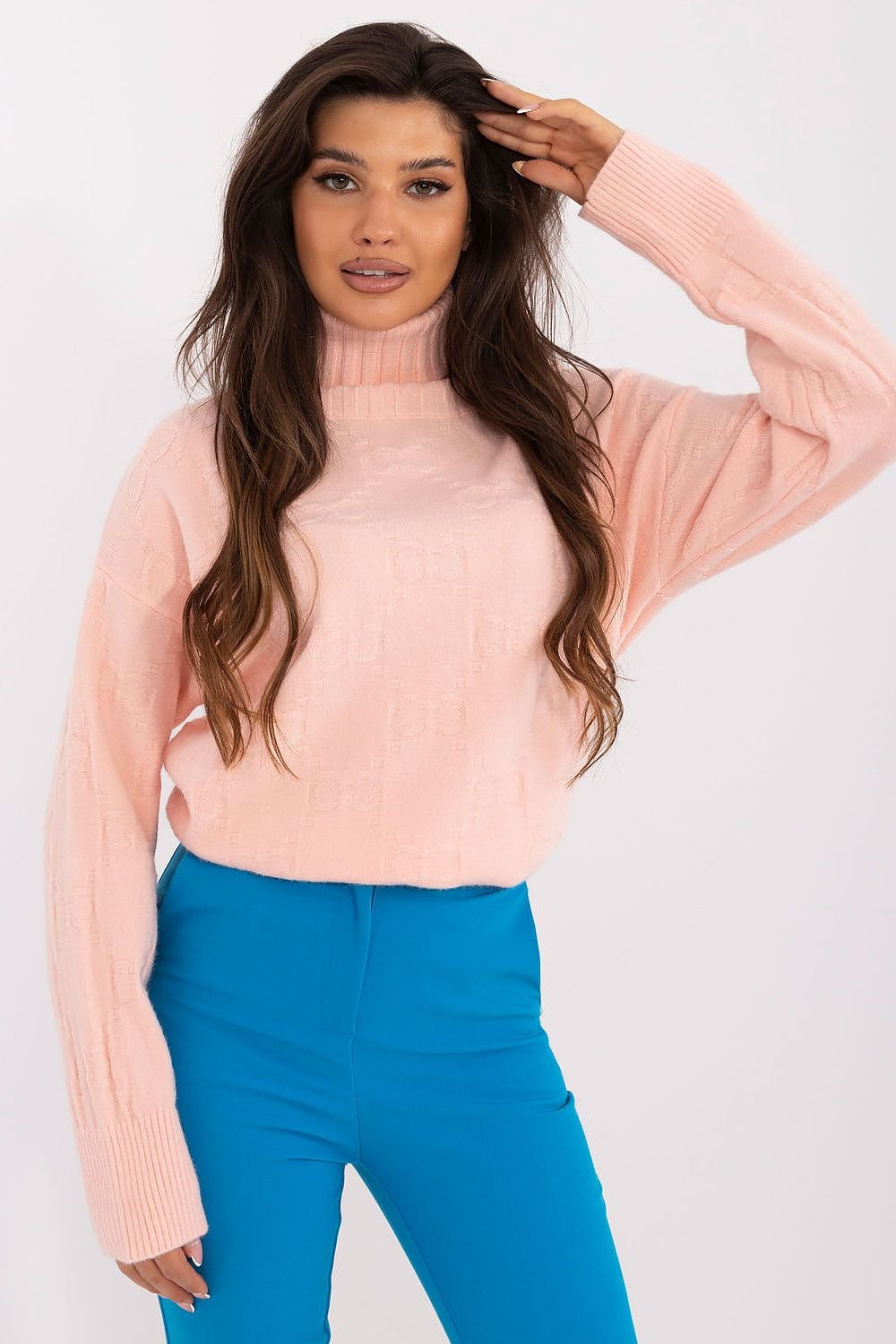 Turtleneck model 199637 AT