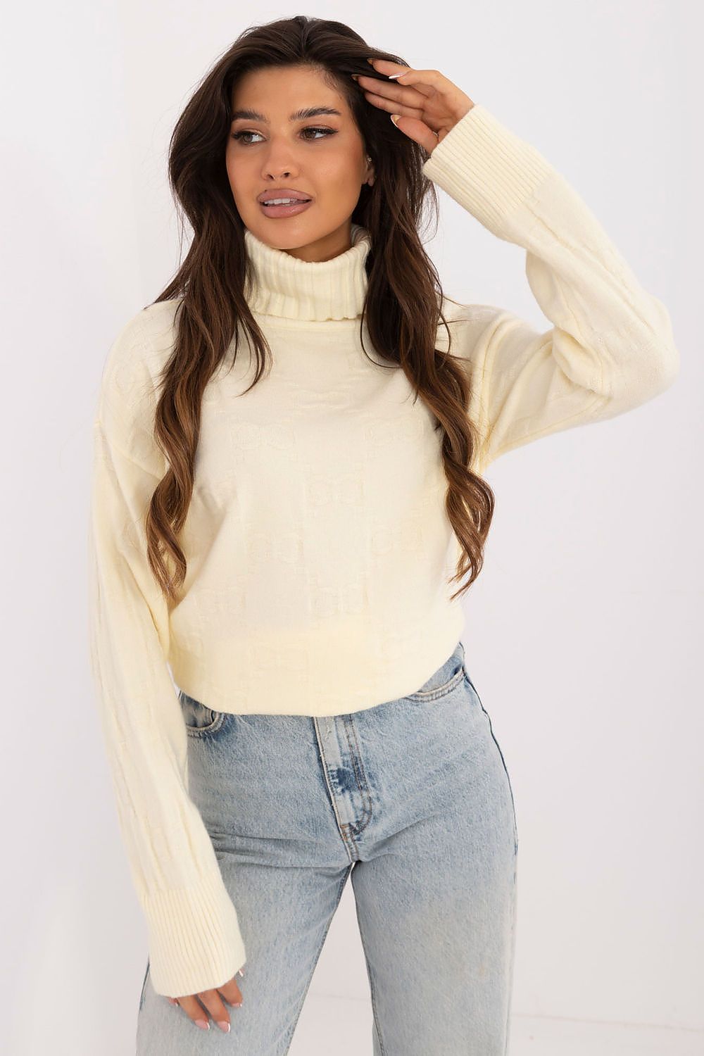 Turtleneck model 199637 AT