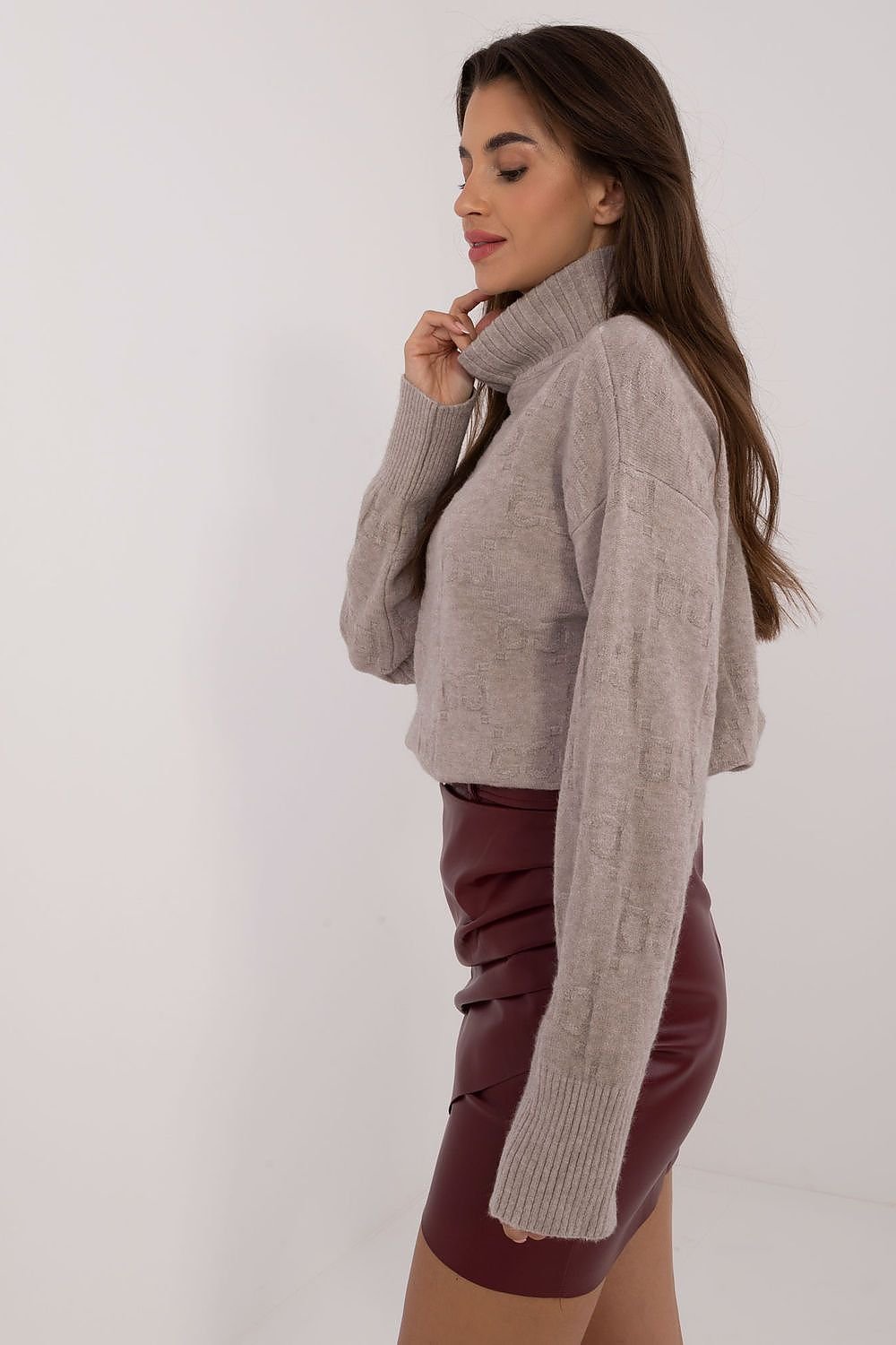 Turtleneck model 199637 AT