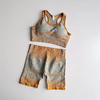 Sport Set Seamless Yoga Set