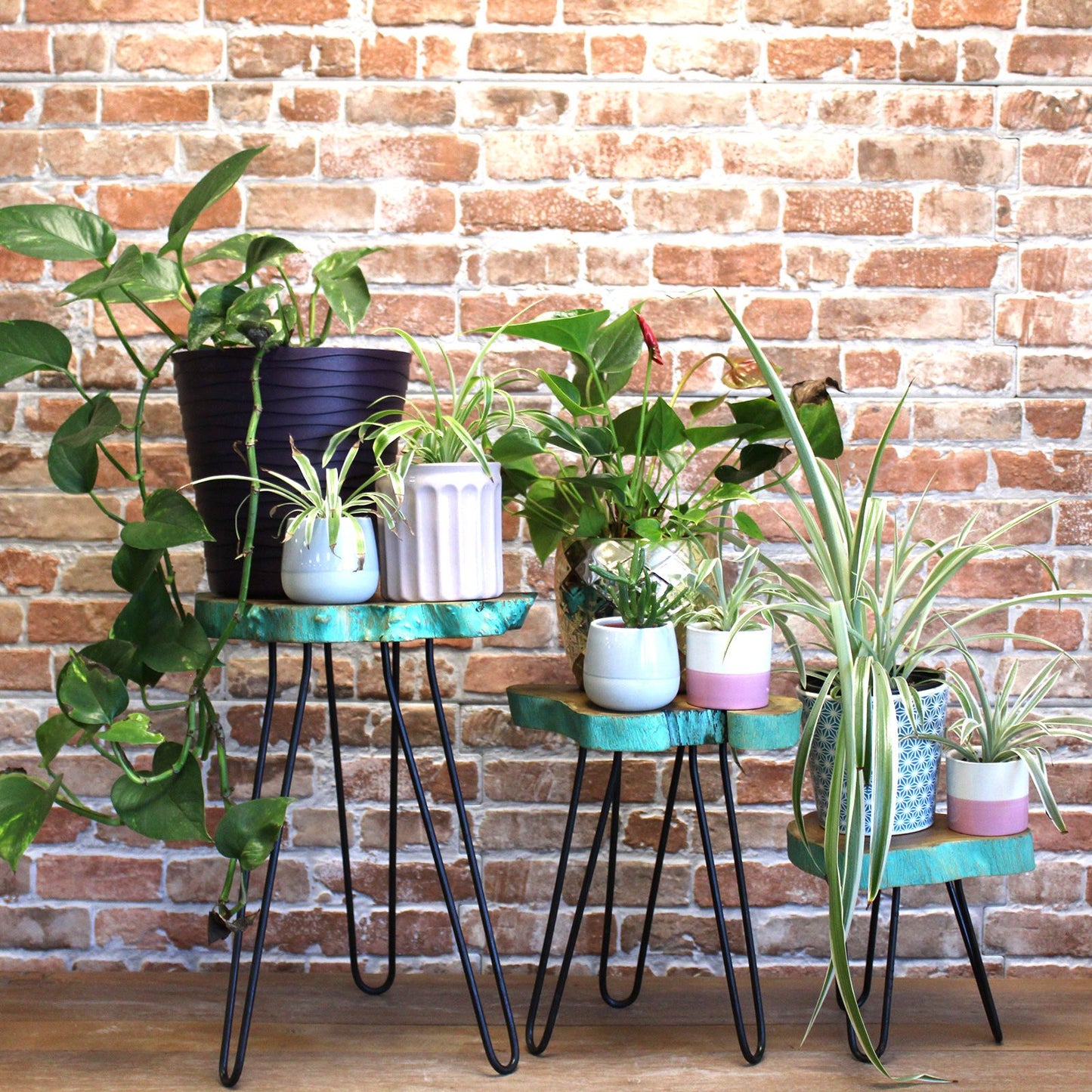 Set of 3 Träpall - Greenwash